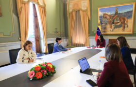 Delcy Rodríguez anuncia el establecimiento de alianzas estratégicas con el sector privado de salud.