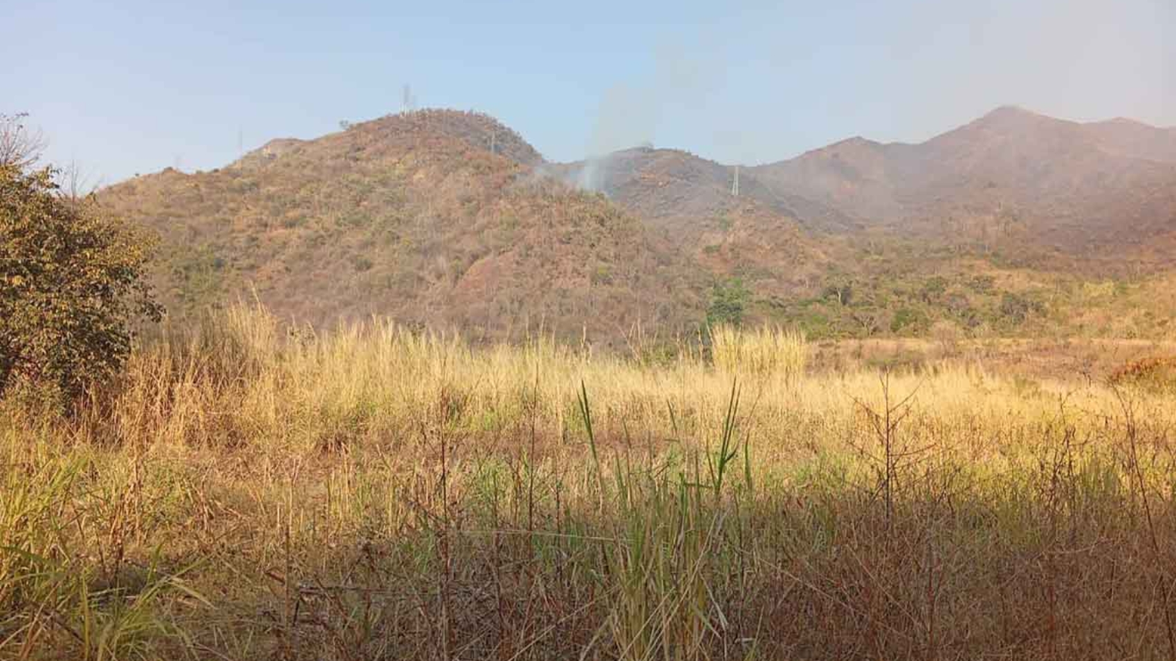 Controlado nuevo incendio en el Parque Nacional Henri Pittier 