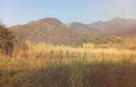 Controlado incendio forestal en el Parque Nacional Henri Pittier