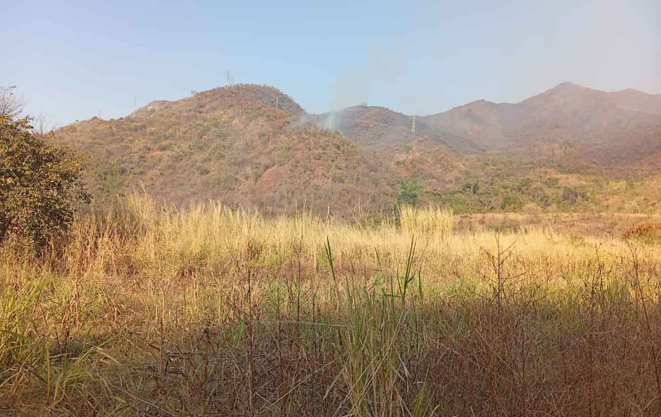 Controlado nuevo incendio en el Parque Nacional Henri Pittier
