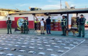 FANB incautó 380 kilogramos de clorhidrato de cocaína en el Zulia