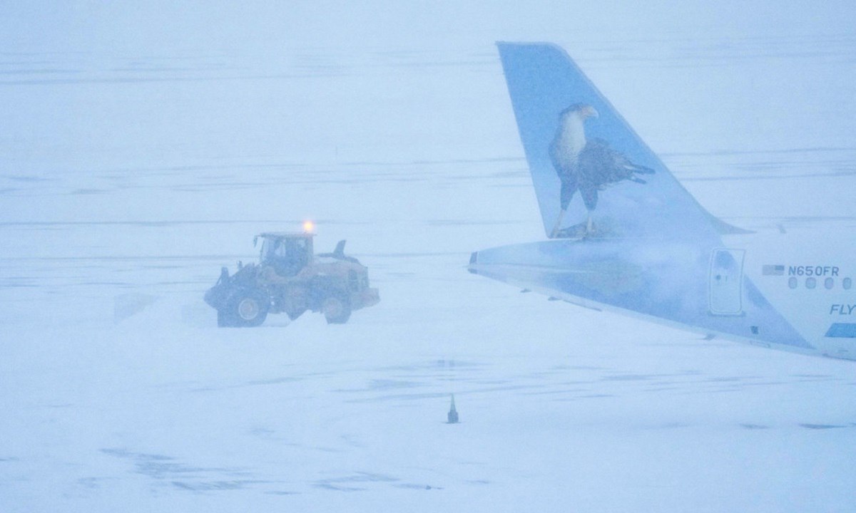 IMG_20260125_141454_194