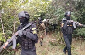 Más de 3 mil 400 efectivos de la FANB y de los Cuerpos de Seguridad se desplegaron en el Zulia