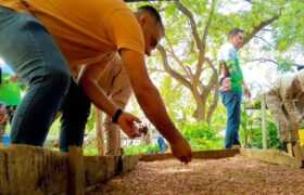 Minec inicia la germinación de semillas de café de la variedad Castillo en Anzoátegui