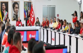 Partido Socialista Unido de Venezuela anuncia marcha para el 23 de enero