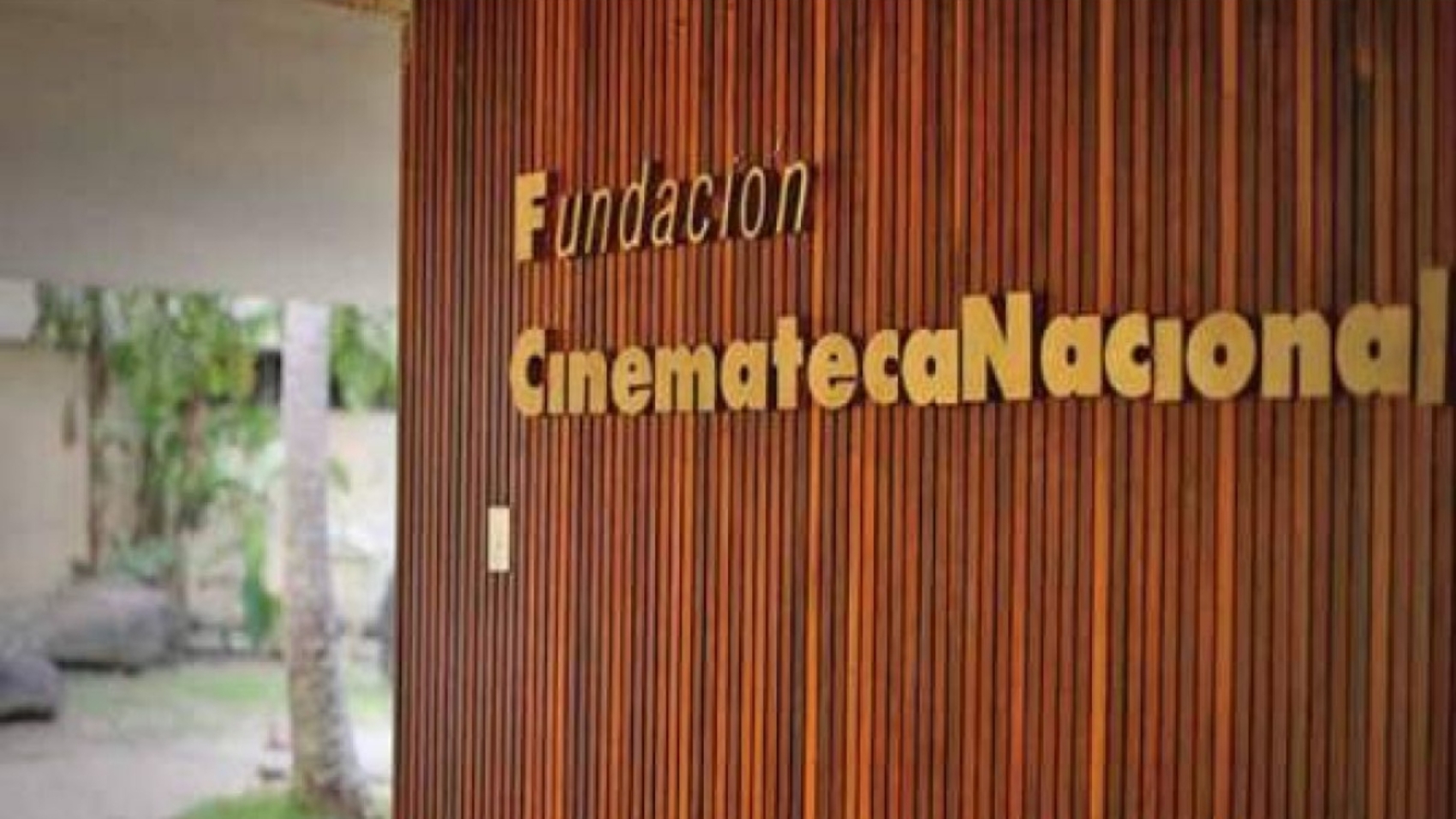 cinemateca (1)