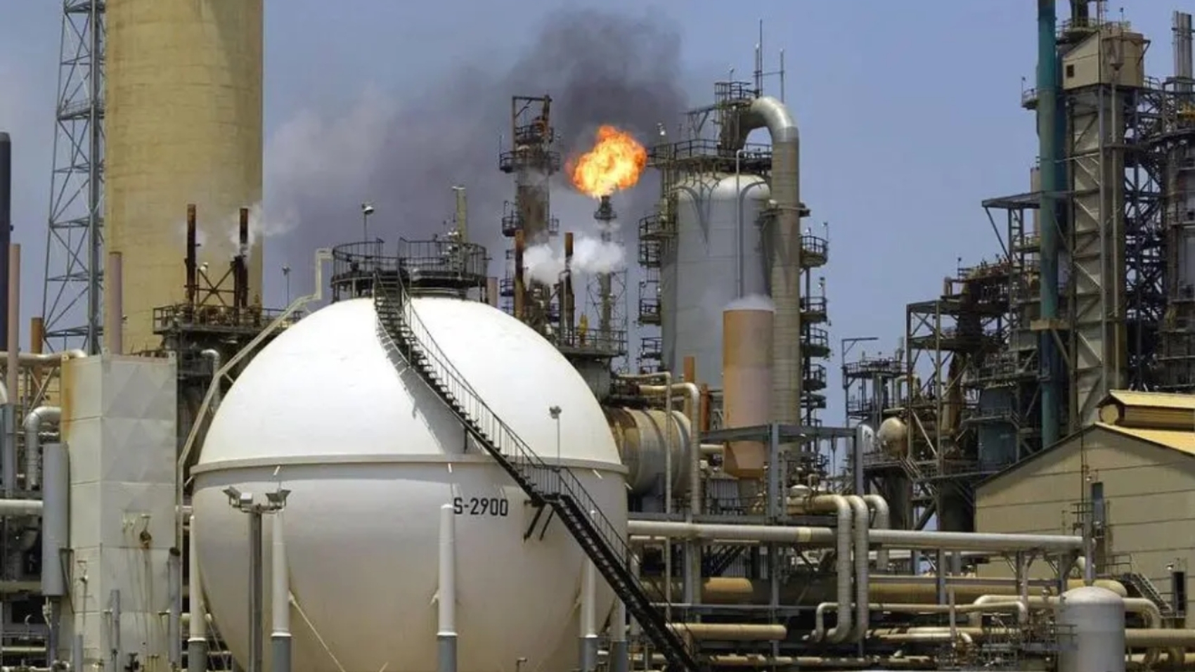 petroleraaa