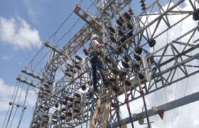 Presidenta encargada propone al Poder Legislativo agenda para avanzar en la modernización del SEN