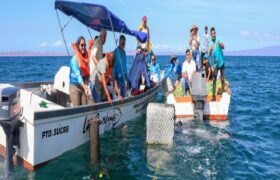 Gobierno nacional fortalece producción sostenible de semillas de mejillón en Sucre