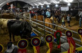 Anzoátegui se proyecta como potencia agroproductiva con la Expoferia 2026