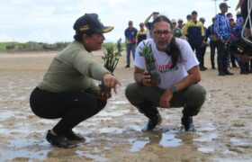 Diversidad Costera y Manglares Rojos: Una Interrelación Perfecta que Debemos Cuidar