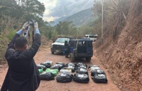 Más de 500 kilos de droga se incautó en el estado Táchira