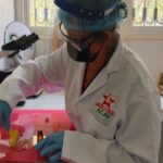 ACAV impulsa soberanía biotecnológica mediante la extracción de apitoxina en Venezuela