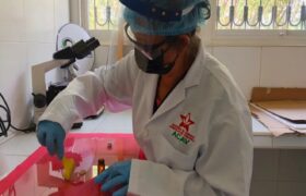 ACAV impulsa soberanía biotecnológica mediante la extracción de apitoxina en Venezuela