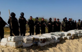 Incautadas más de 2,8 toneladas de marihuana en el estado Zulia