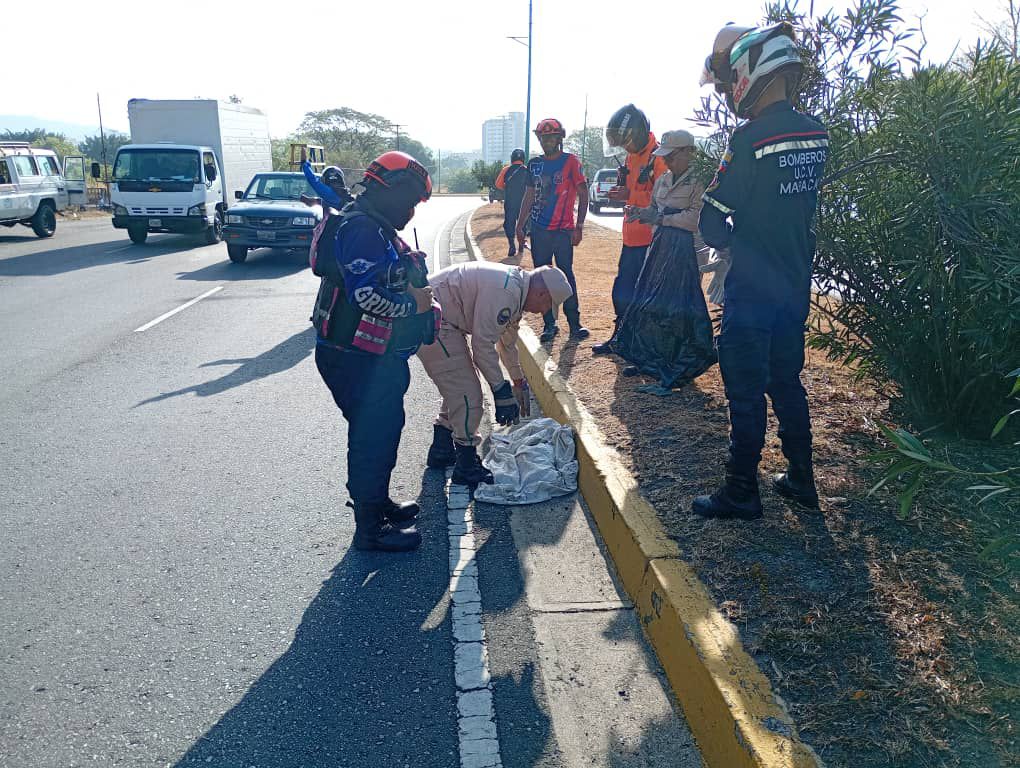 El-impacto-de-los-incendios-forestales-desplaza-a-la-fauna-silvestre-en-Maracay.1