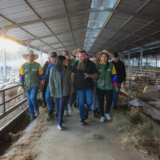 IMG_2771-1-2048x1638