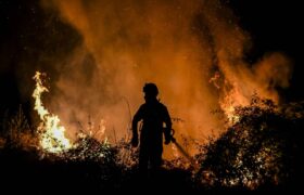 Incendio forestal en Los Teques está totalmente controlado