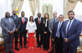 Presidenta (E) Delcy Rodríguez se reúne en Caracas con altos representantes de la Cámara Africana de Energía