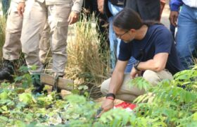Ministro Ñáñez destaca importancia de la producción comunal durante visita a Yaracuy