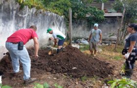 Misión Árbol promueve Jornada Ecoproductiva a nivel nacional