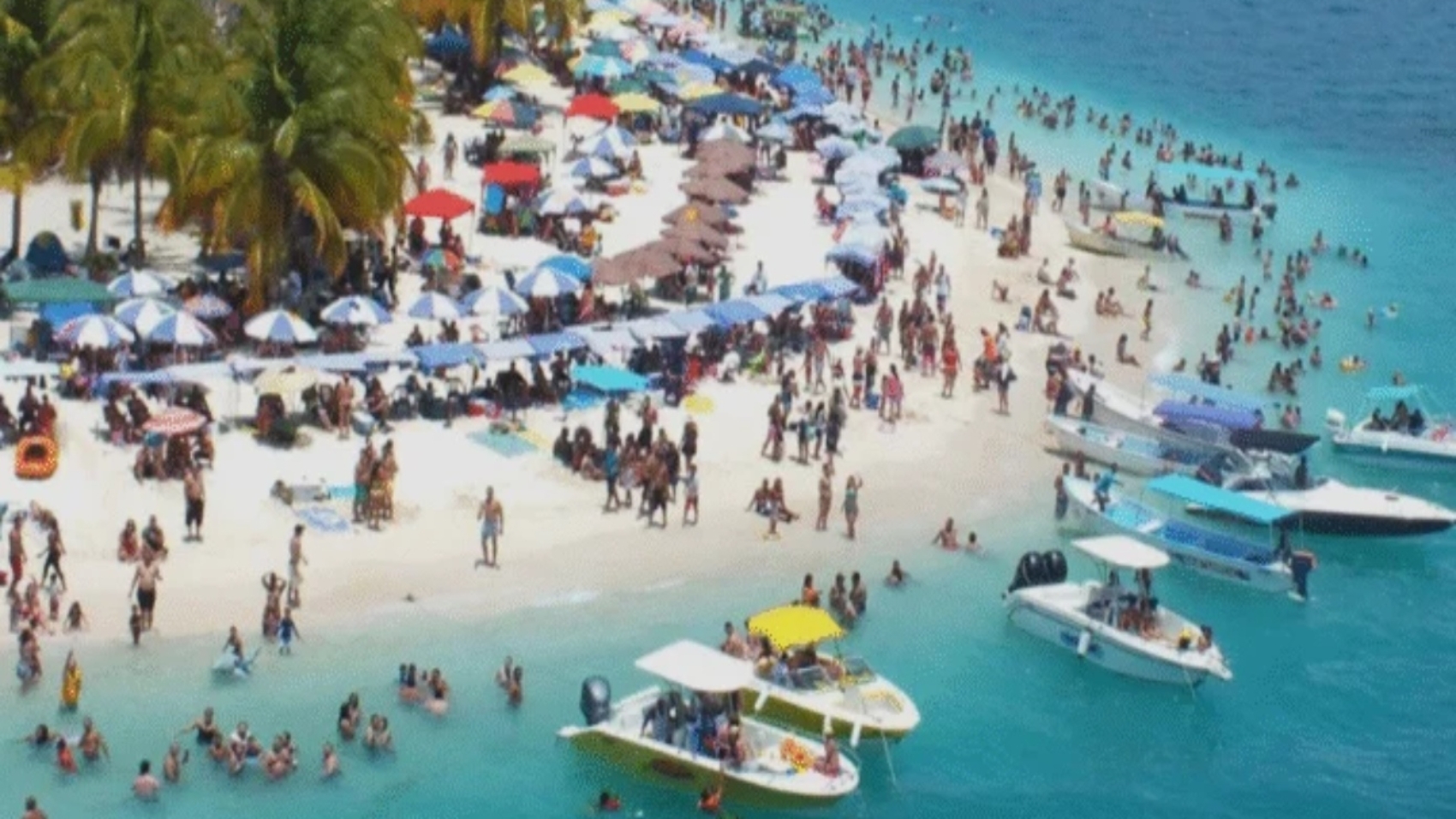 Morrocoy