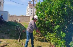 Plan de Control de Vegetación continúa desplegado en subestaciones de Nueva Esparta