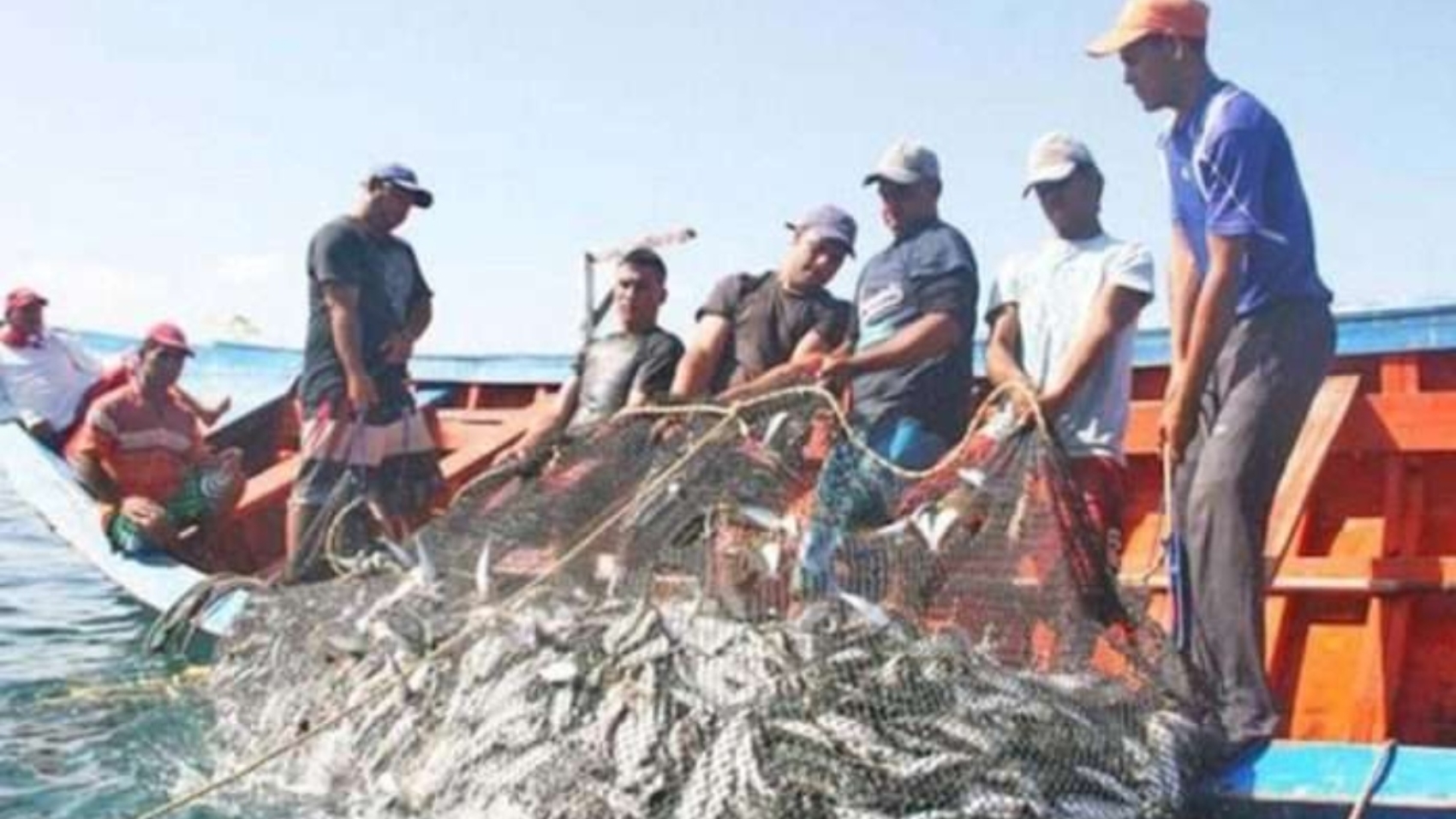 Sardinas