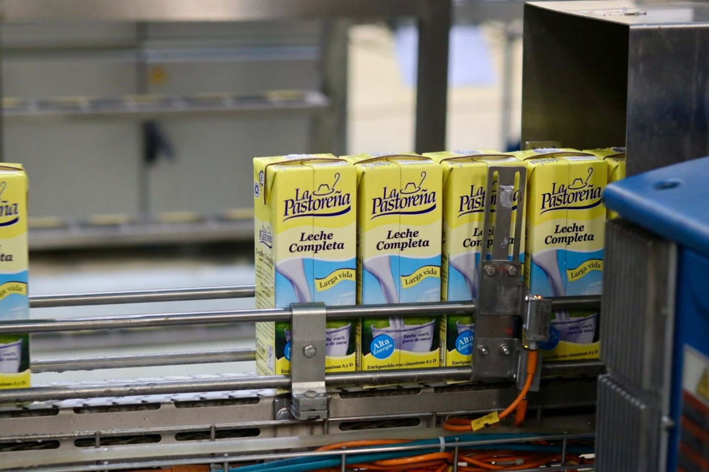 WhatsApp-Image-2026-02-09-at-7.15.12-PM-1