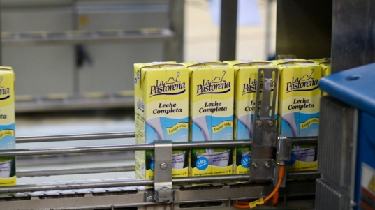 WhatsApp-Image-2026-02-09-at-7.15.12-PM-1