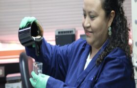 Investigadores del IDEA destacan ventajas de energías renovables para el ambiente