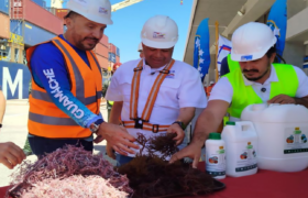 Venezuela impulsa exportaciones de productos del mar hacia Japón y Chile desde El Guamache