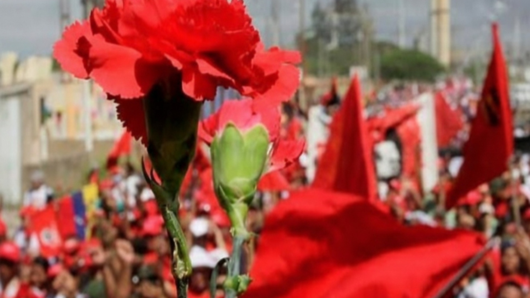 marcha de los claveles