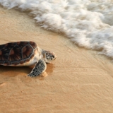 photo_4978939150425852746_y