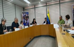 Fortalecer cadena de suministros: Vicepresidencia Sectorial lideró primera mesa estratégica del Motor Farmacéutico