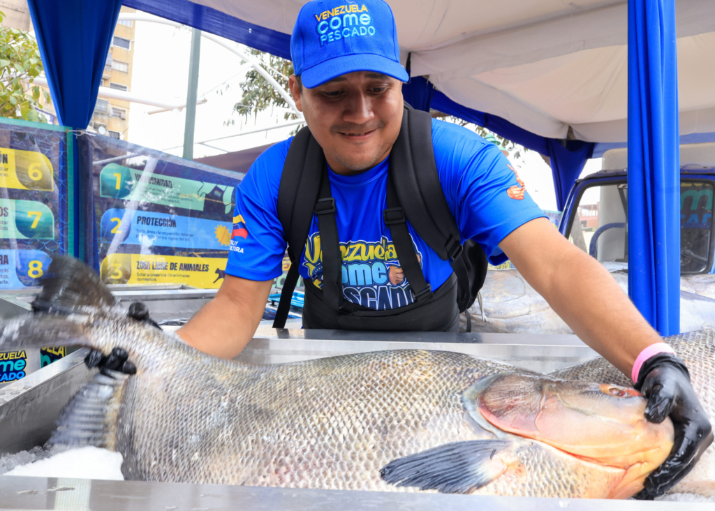 09_ZC__4043_P-scaled