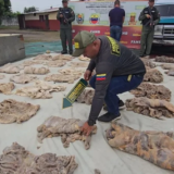 1744739361960315610xg