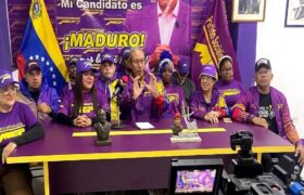 MEP denuncia presuntas acciones desestabilizadoras de sectores extremistas