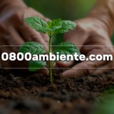 Disponible-la-web-0800ambient.com-para-denuncias-y-consultas