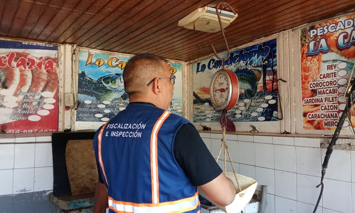 FISCALIZACION
