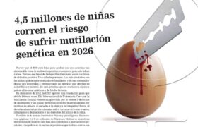 La Artillería N° 745