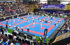 Karate exhibió gran nivel en la Copa Internacional Francisco de Miranda