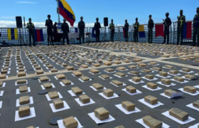 Incautan más de 280 kilos de marihuana en los estados Lara y Falcón