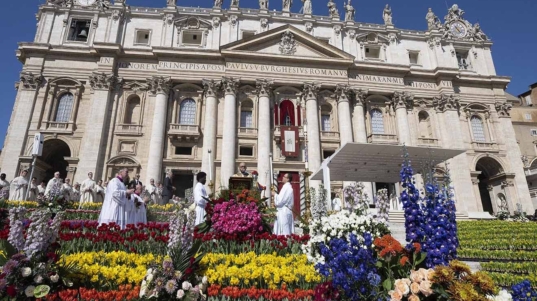 Miles de flores de Italia y Países Bajos adornarán el Vaticano en Semana Santa