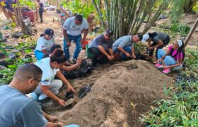 Misión Árbol fortalece la producción en viveros de La Guaira, Apure y el Zulia