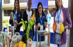 Inicia convocatoria para proyectos de investigación liderados por mujeres científicas