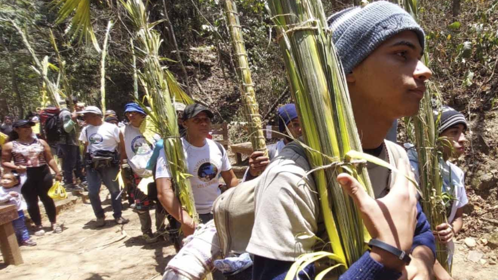 Palmeros de Chacao