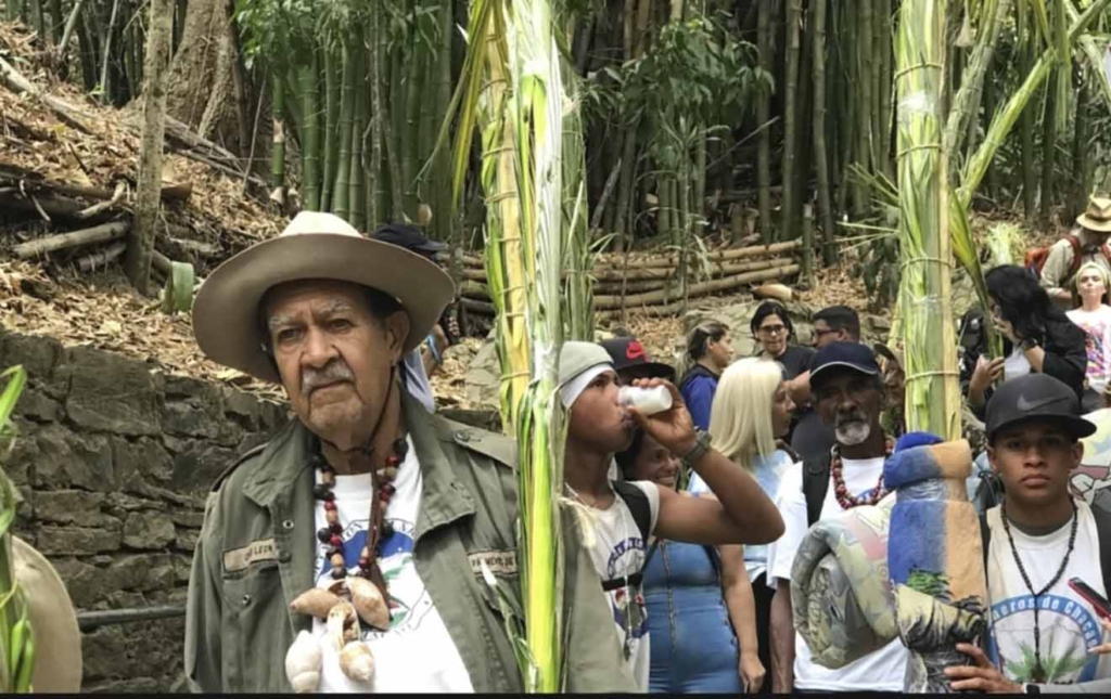 Palmeros de Venezuela