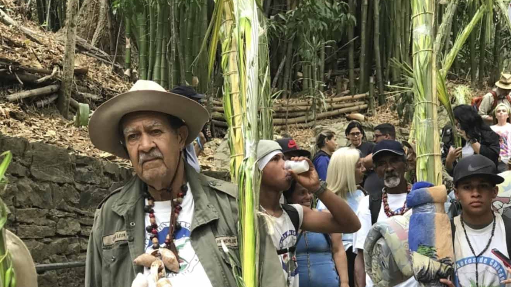 Palmeros de Venezuela