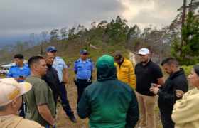 Plan de reforestación en Parque Nacional Macarao restaura ecosistema en Miranda